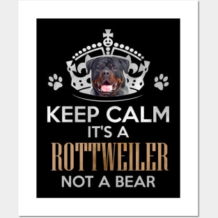 Rottweiler  - Metzgerhund Posters and Art